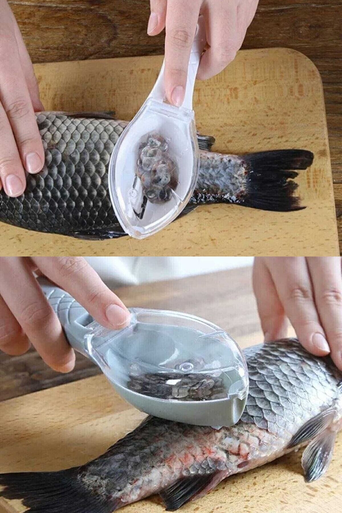 1 Adet Balık Pulu Temizleme Aparatı
